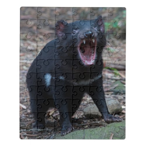 Tasmanian Devil in Tasmania Australia Jigsaw Puzzle