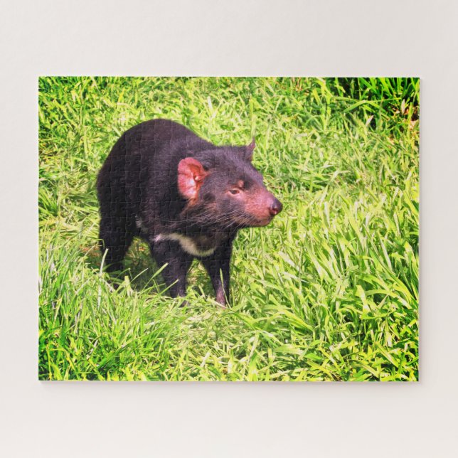 tasmanian devil jigsaw puzzle (Horizontal)
