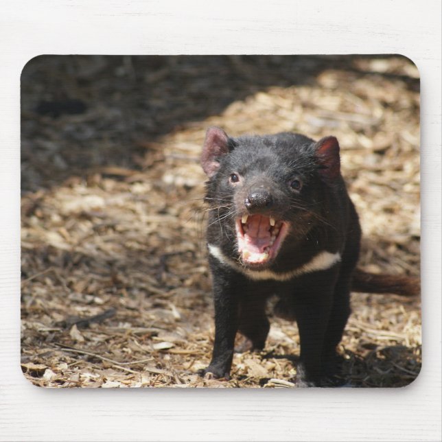 Tasmanian Devil Mouse Pad (Front)