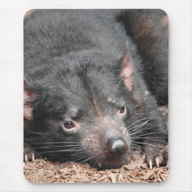 Tasmanian Devil Mouse Pad (Front)