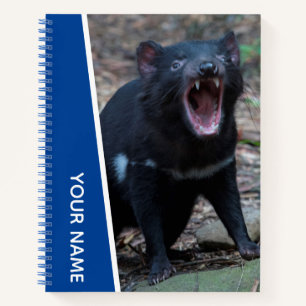 Tasmanian Devil, Tasmania, Australia, Blue Notebook