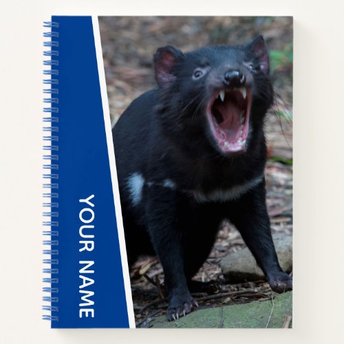 Tasmanian Devil Tasmania Australia Blue Notebook