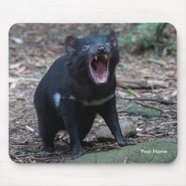 Tasmanian Devil Tasmania Australia Close Up Photo Mouse Pad (Front)
