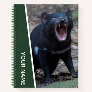 Tasmanian Devil, Tasmania, Australia, Green Notebook