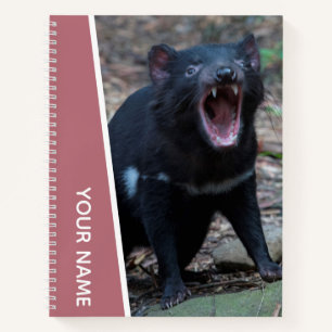 Tasmanian Devil, Tasmania, Australia, Rose Gold Notebook
