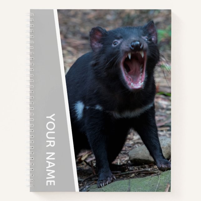 Tasmanian Devil, Tasmania, Australia, Silver Notebook (Front)