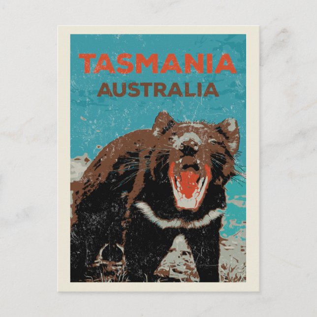 Tasmanian Devil, Tasmania island, Australia Postcard (Front)