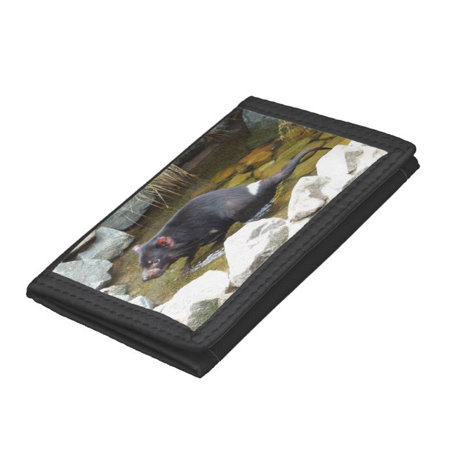 Tasmanian Devil Wallet (Bottom)