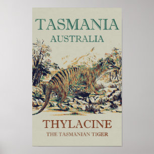 Tasmanian tiger, the thylacine, Tasmania Australia Poster