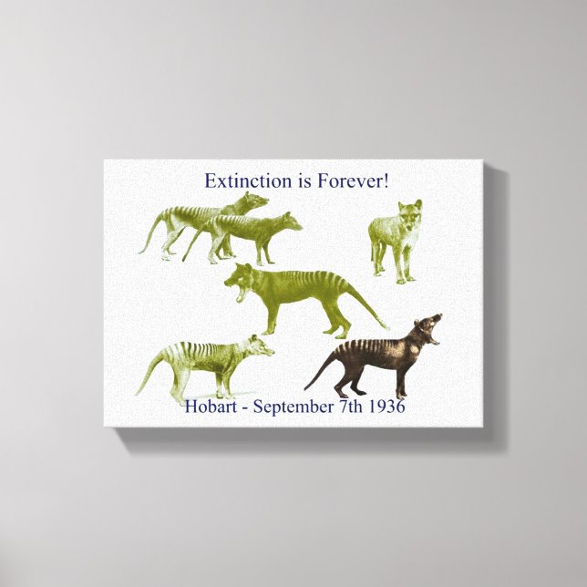 Tasmanian Tiger Thylacine Canvas Print (Front)