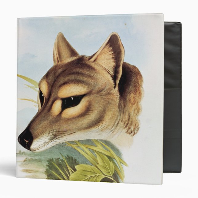 Tasmanian Wolf or Tiger 3 Ring Binder (Front/Inside)