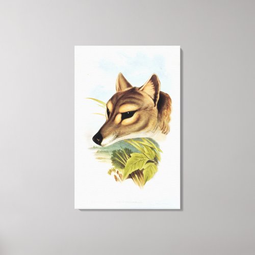 Tasmanian Wolf or Tiger Canvas Print