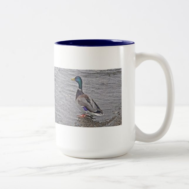 Tasse lustige Ente: have fun Two-Tone Coffee Mug (Right)