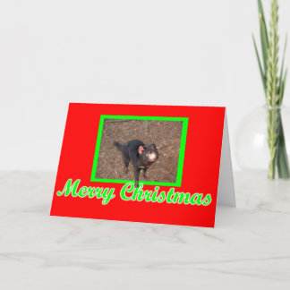 Tassie Devil Holiday Card