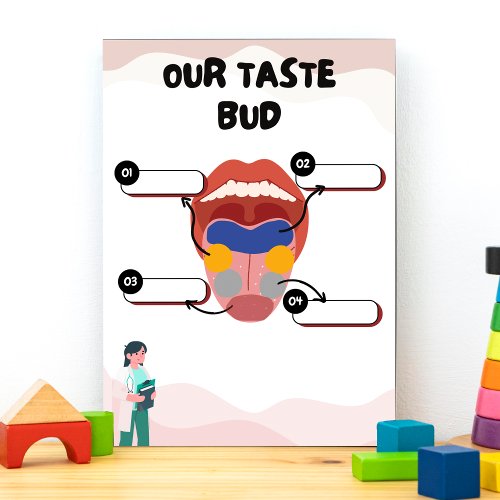 Taste Buds Preschool Education for kids Dry Erase Board