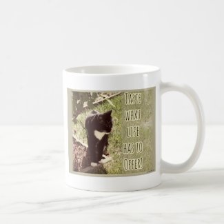 Taste of Life Cute Cat Photo Inspirational Quote
