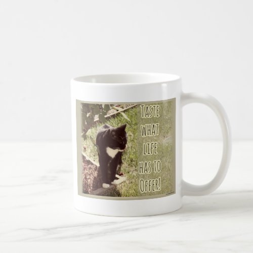 Taste of Life Cute Cat Photo Inspirational Quote Coffee Mug