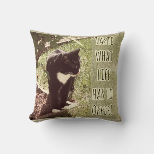 Taste of Life Motivating Cat Slogan Design Throw Pillow