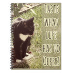 Taste Of Life Motivational Cat Photo Quote Notebook at Zazzle