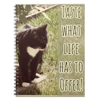 Taste Of Life Motivational Cat Photo Quote Notebook by Anotherfort at Zazzle