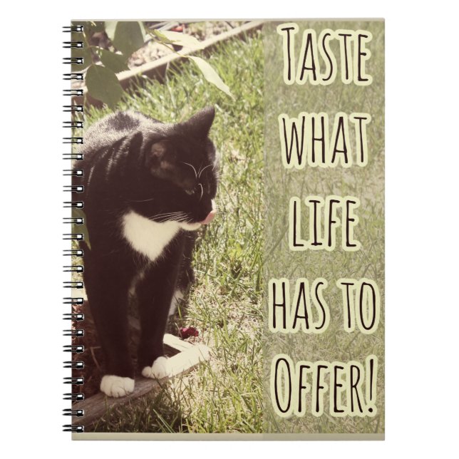 Taste of Life Motivational Cat Photo Quote Notebook (Front)