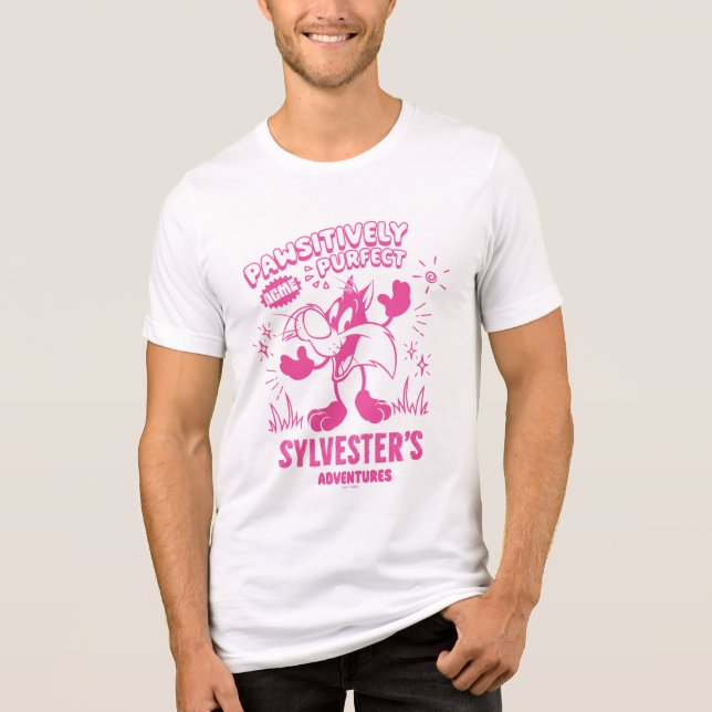 Tasty Retro SYLVESTER™ Tri-Blend Shirt (Front)