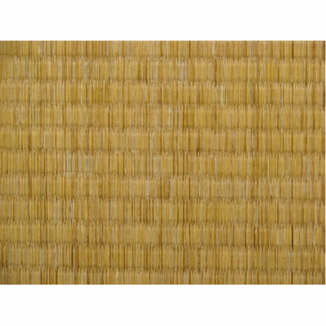 Tatami Mat 畳 Statuette (Front)