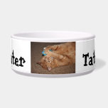 Tater Bowl<br><div class="desc">cat</div>