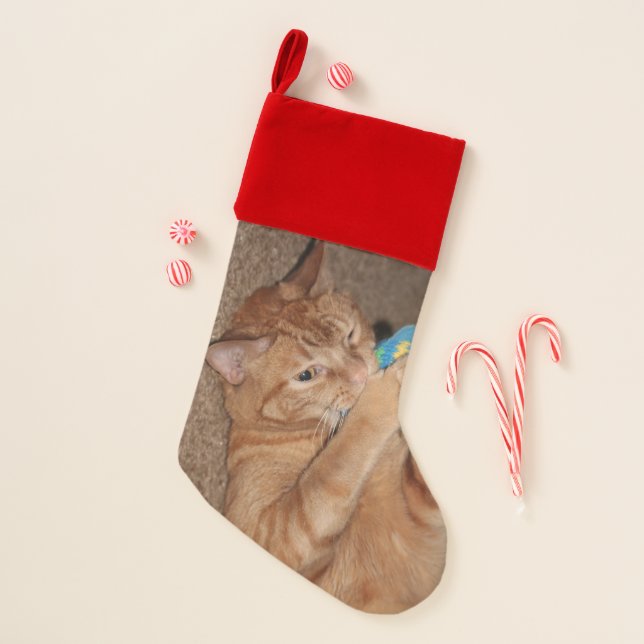 Tater Christmas Stocking (Front)