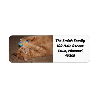 Tater Label