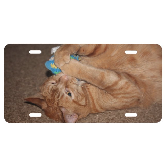 Tater License Plate (Front)