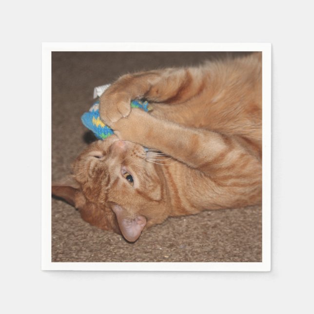 Tater Napkins (Front)