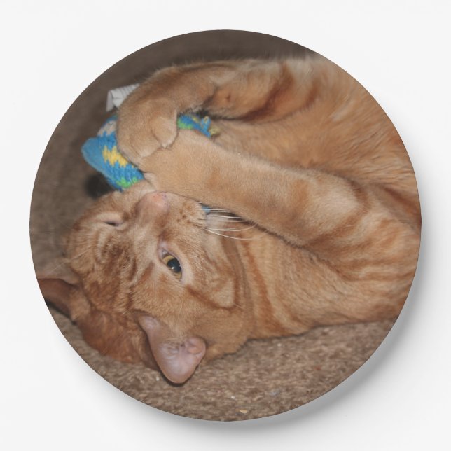 Tater Paper Plates (Front)