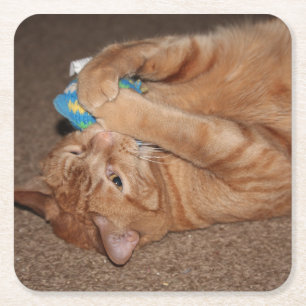 Tater Square Paper Coaster