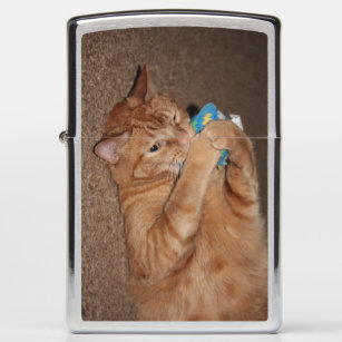 Pet Cat Zippo Lighters & Matchboxes | Zazzle