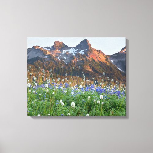 Tatoosh Range and Wildflowers  Mt Rainier Canvas Print