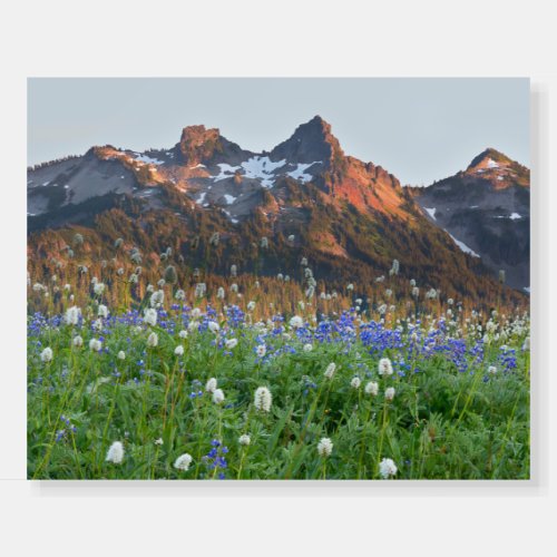 Tatoosh Range and Wildflowers  Mt Rainier Foam Board