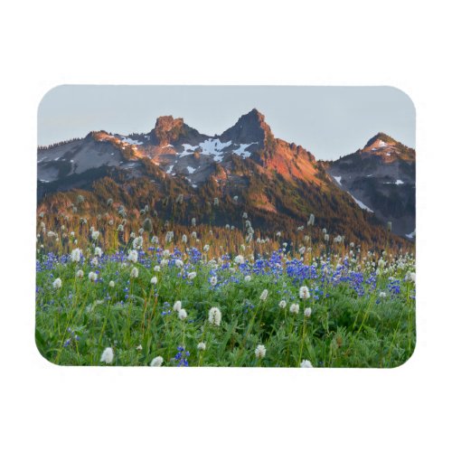 Tatoosh Range and Wildflowers  Mt Rainier Magnet