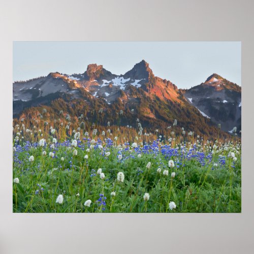 Tatoosh Range and Wildflowers  Mt Rainier Poster