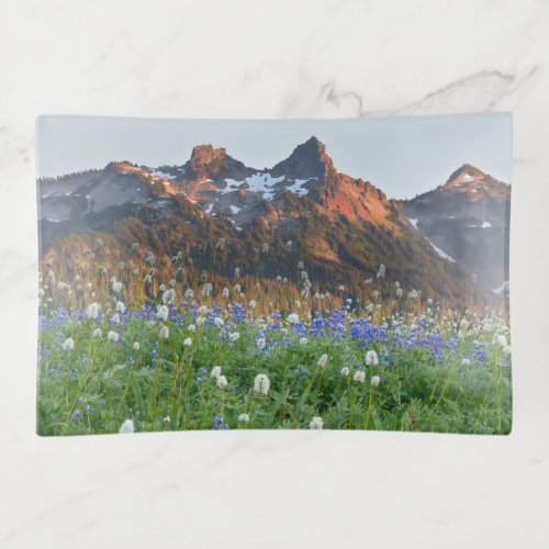 Tatoosh Range and Wildflowers  Mt Rainier Trinket Tray