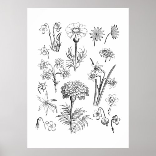 Tattoo Flower and Plants Illustration Poster
