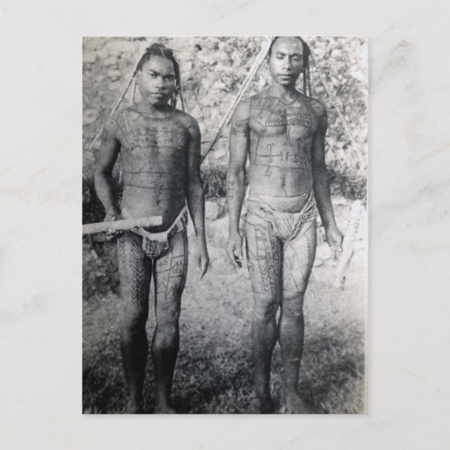 Tattooed Warriors of New Guinea Postcard (Front)