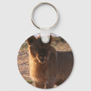 Tau, Lion, Photo Keychain