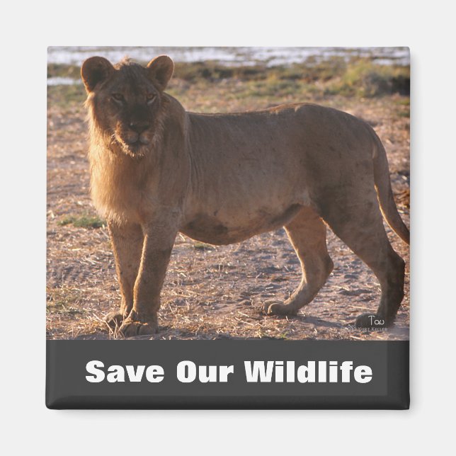 Tau Save Our Wildlife Magnet (Front)