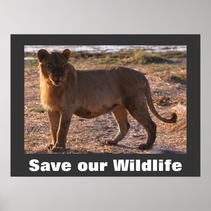 Tau Save Our Wildlife Poster