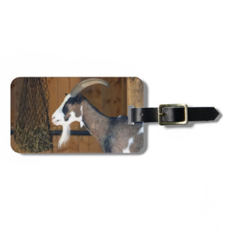 Tauernschecken-Ziege Luggage Tag