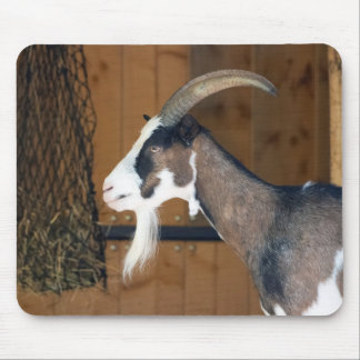 Tauernschecken-Ziege Mouse Pad