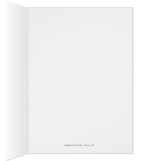 Taughannock Falls in Ithaca NY (Inside (Right))