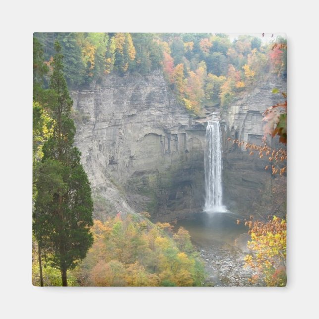 Taughannock Falls Magnet (Front)
