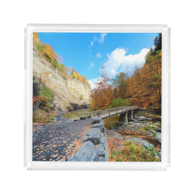 Taughannock Falls State Park Acrylic Tray (Front)